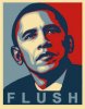 Obama Flush.jpg