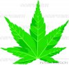 marijuana-leaf-l_~22P0068.jpg