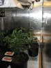 growroom 006.jpg