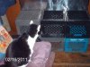 2-16-2011 clone closet 002.jpg