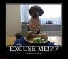 excuse-me-dog-wine-demotivational-posters-1301171126.jpg