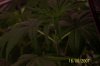 100_3726.jpg