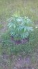 2011-06-19_15-53-01_839.jpg