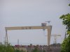 crane8x8.jpg