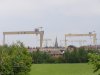 cranes8x6.jpg