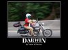 Motivational-Darwin.jpg