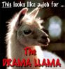 Drama Llama.jpg