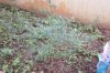 DSC07549.jpg