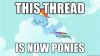 This-thread-Is-now-ponies.jpg