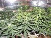 GROW WEEK 3.5 011.jpg