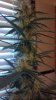 2011-10-31_15-28-06_347.jpg
