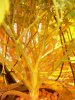 DSCN0672.jpg
