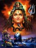 lord-shiva-picture-020.jpg