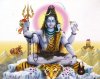 shiva-in-meditation-PG05_l.jpg