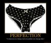 perfection-panties-demotivational-poster-1267889025.jpg