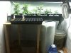 Grow #1 047.jpg