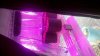 2011-11-29_19-59-14_895.jpg