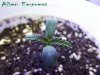 alien empress 014.jpg