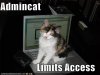 funny-pictures-cat-limits-your-computer-access.jpg