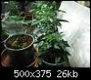 dobby-354677-albums-dobby-grow-picture1954838t-1225right.jpg