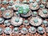 peyote2.jpg