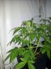 20120108_220539.jpg