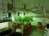 Big Ass Veg Room.jpg