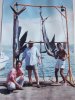 Acapulco sailfish 005.jpg