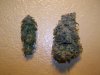 comparison shopping 003.jpg