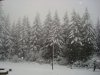 Snow Jan 2012 II 002.jpg