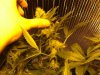 Week 4 Flower 020.jpg