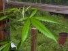 100_0756.jpg