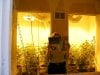 GGs Perpetual Grow 2000 Watt Closet 2-24-2010 (800x600).jpg