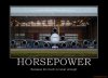 horsepower-horsepower-demotivational-poster-1268020526.jpg