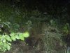 DSCF0656.jpg