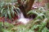 riverblur.jpg