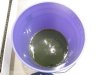 bubble ice hash, frist frightening attempt 008.jpg