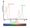 633px-Chlorophyll_ab_spectra2.PNG