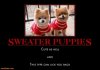 sweater-puppies-sweater-puppies-demotivational-posters-1301020857.jpg