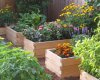 raised_beds-garden_photo-close-380x304.jpg