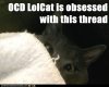 ocd-lolcat-thread.jpg