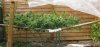 Green House 2.jpg
