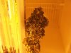 100_2361.jpg