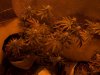 100_2364.jpg