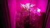 2012-04-03-328.jpg