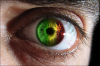 Rasta_Eye copy.png