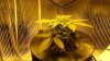 DSC00325.jpg