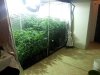 20120418_161157.jpg