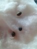 IMG_20120419_185847.jpg