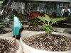 DSC01129.jpg